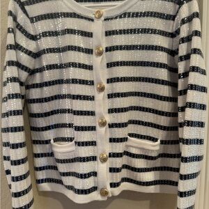 Boston Proper Navy and White Striped Sweater